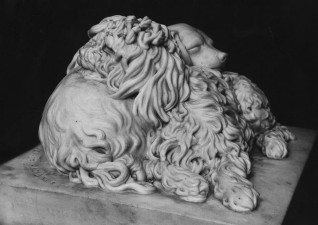 Fig. 24 Damer Two Sleeping Dogs